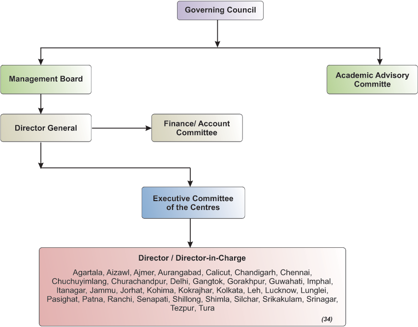 NIELIT Organizational Chart